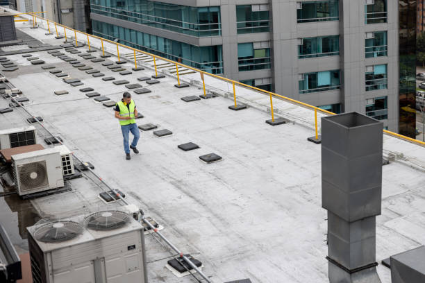 Best Cold Roofs  in Lugoff, SC