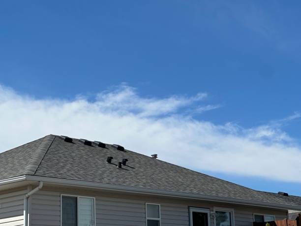 Steel Roofing in Lugoff, SC